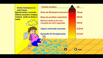 Quais são os processos Anabolicos?
