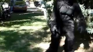 UndeadMonsters Gorrilla Costume