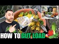 STOP! DO NOT FEED YOUR REPTILES BEFORE WATCHING THIS VIDEO! HOW TO GUT LOAD FEEDER INSECTS