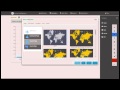 How to get started with Active Intelligence Dashboard