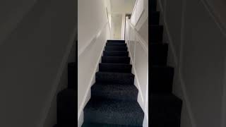 IMG 1310