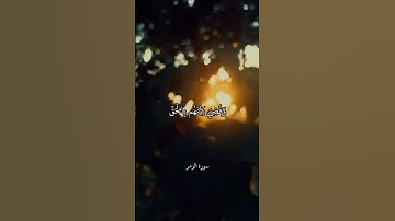 وَأَشْرَقَتِ الْأَرْضُ بِنُورِ رَبِّهَا || سورة الزمر || علي جابر