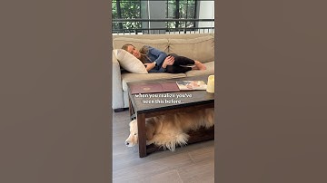 When your golden has the same spot as your childhood dog 🥺