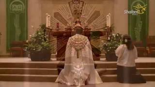 Eucharistic Adoration: St. Stephen Catholic Church