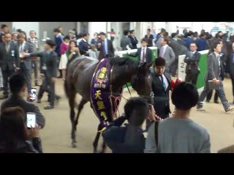 ＃第158回天皇賞＃レイデオロ＃府中競馬＃ホースプレビュー＃検量室前