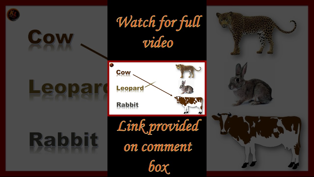 Match the animals name with their picture | animals worksheet | Animals name | Worksheets for kids