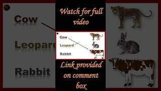 Match the animals name with their picture | animals worksheet | Animals name | Worksheets for kids