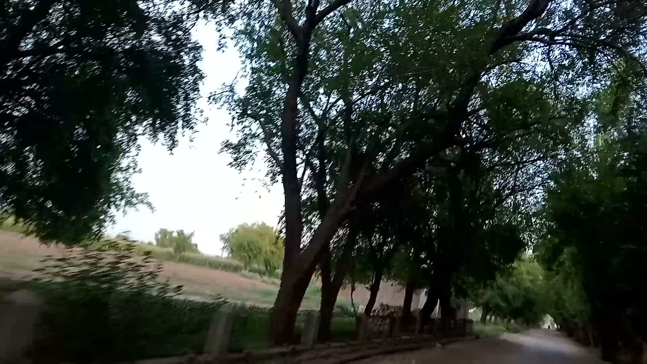 kohat surgull village