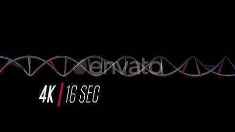 Dna Loop 4K Alpha Channel | Motion Graphics - Envato elements