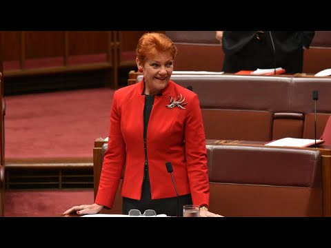 ‘I’m very grateful’: Pauline Hanson reflects on retaining Senate seat