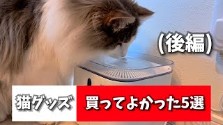 【後編】早く買えばよかった猫グッズ5選を発表しちゃいます♡