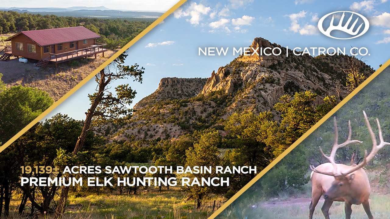 Sawtooth Basin Ranch | Catron County, NM 19,139± Acres