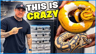 Things Are Getting Crazy Over Here!