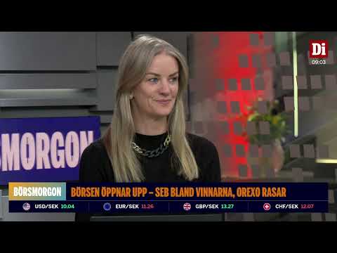 Experten: Då kommer börsen ta fart igen