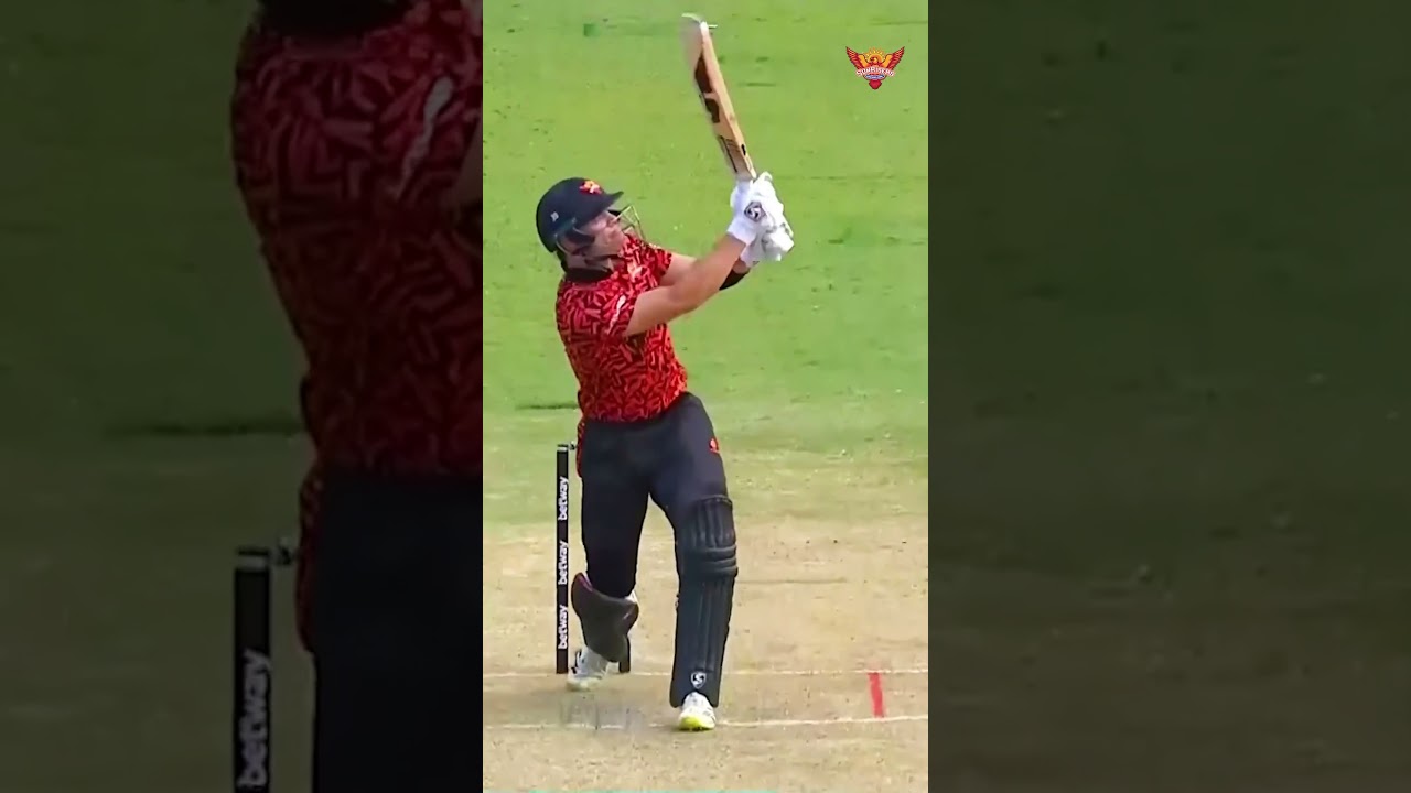 Which one's your favourite, 