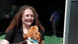 1,500 beagles rescued from life of biomedical research