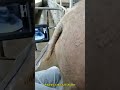 Portable Fully Digital Veterinary Diagnostic Ultrasound Machine Animal Pregnancy Test Pet Sonar
