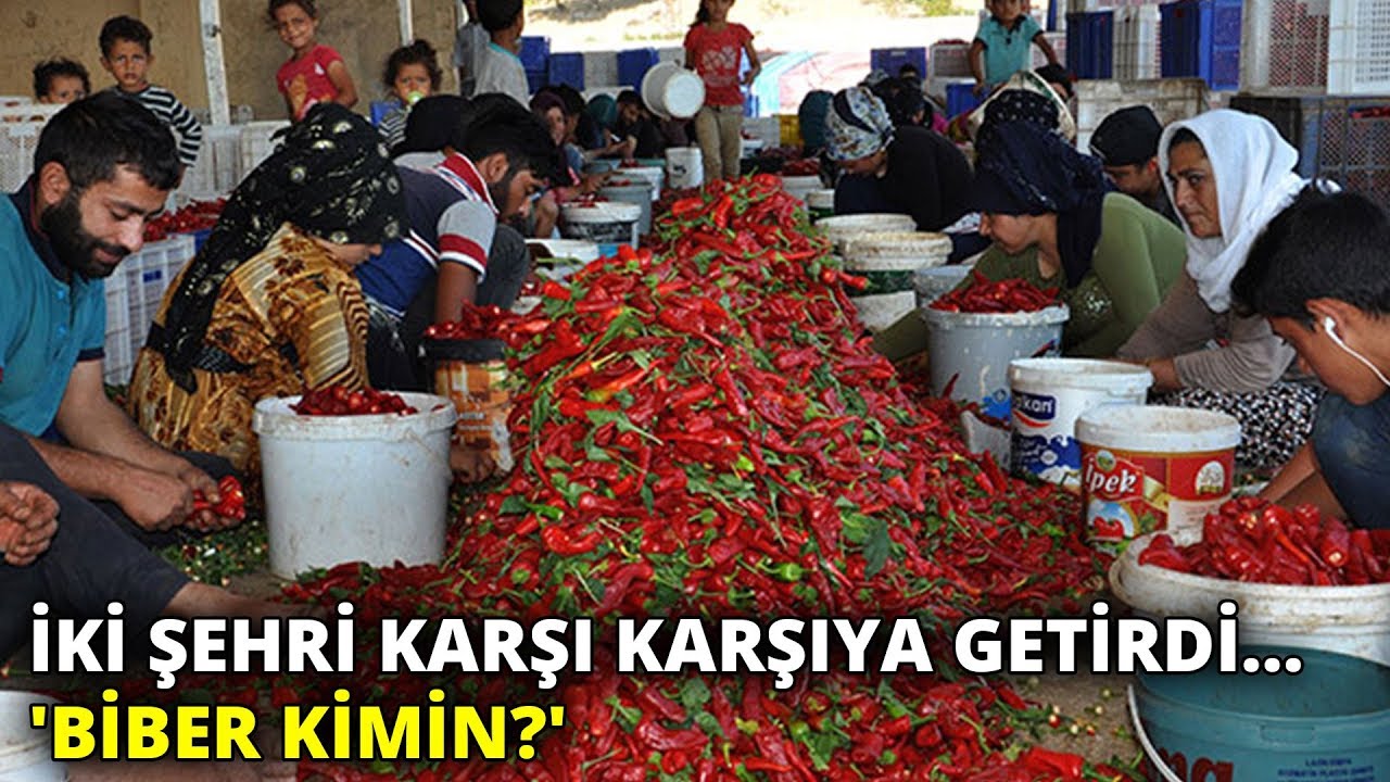 İki şehri karşı karşıya getirdi... 'Biber kimin?'