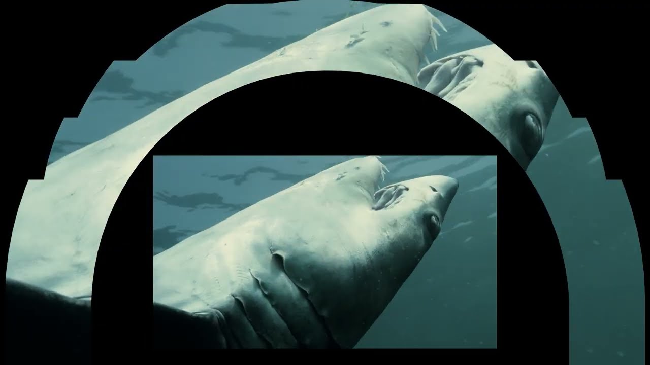 Planetary Guardians - Planetary Healthcheck