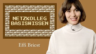 Netzkolleg Basiswissen Effi Briest Grundlagen Der Literaturwissenschaft - Abiturvorbereitung