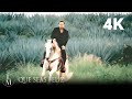 Luis miguel  que seas feliz oficial 4k