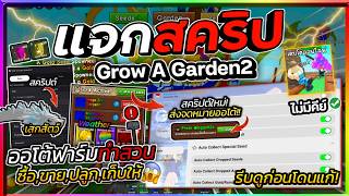 แจกสคริป Grow A Garden 2🌱ออโต้เก็บเมล็ดรุ้ง,ทอง ส่งจดหมาย...