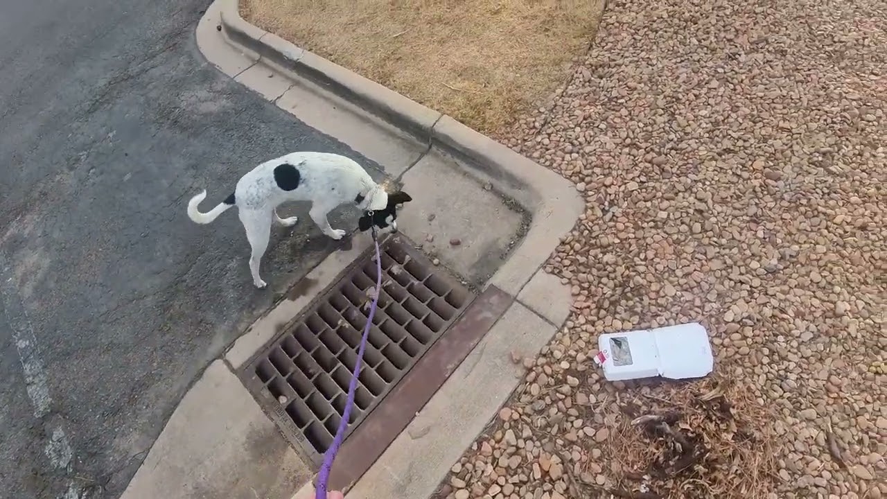 Ramona and Brett Evening Run on Feb 24, 2026