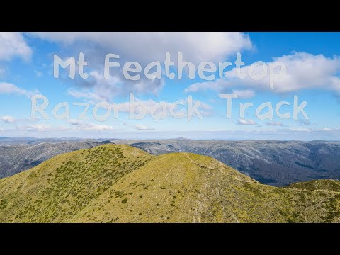 Mt Feathertop Razorback Track 2020