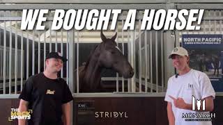 We Bought A Horse!