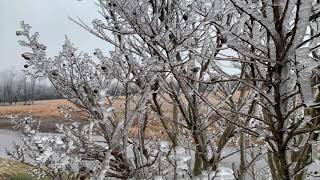 Icing in Fentress County TN