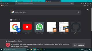 #7 Editing File DBF
