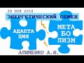 Энергетический обмен между адаптационным и метаболическими механизмами. Алименко А.Н. (28.11.2018)