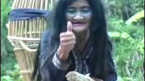 niam tais poj dab khaub rhuab