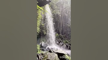 سورة النصر اجمل صوت لفارس عباد❤️❤️