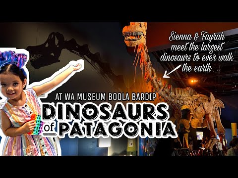 DINOSAURS OF PATAGONIA PREMIERE AT WA MUSEUM BOOLA BARDIP | It&#39;s HUGE, It&#39;s HERE!