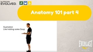 Exploring Body Movements in Anatomy Complete Guide for Beginners Anatomy 101 - 4 motion