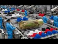 How Banana Plant Waste Is Turned IntoWomen's Underwear World Wide Waste