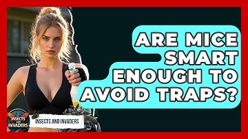 Are Mice Smart Enough To Avoid Traps? - Insects and Invaders