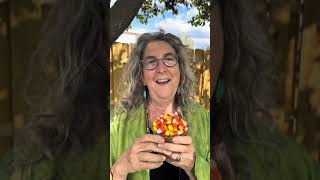 The Story of the VERY Controversial CANDY CORN!