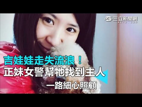 吉娃娃走失流浪！　正妹女警幫牠找到主人｜三立新聞網SETN.com