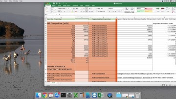 MCS v2019 AFC MES Input Tutorial