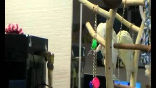 SANY0001.avi