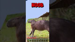 Noob Feeds Capybara #shorts