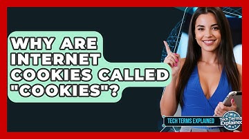Why Are Internet Cookies Called "cookies"? - Tech Terms Explained