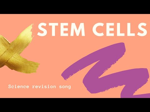 Stem Cells - Science Revision Song