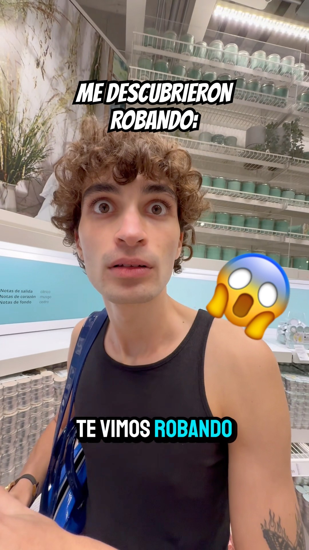 YO NO ROBÉ NADA