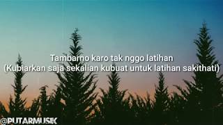 KARTONYONO MEDOT JANJI - DENNY CAKNAN COVER AVIWKILA(lyrics)