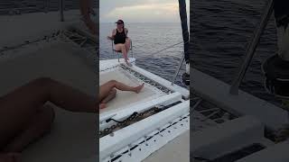 Dolphin Jumps Near Tour Boat