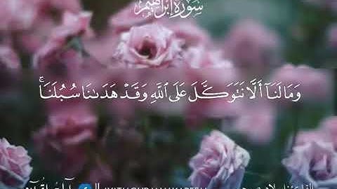 تلاوة تثلج الصدر مع صوت جميل