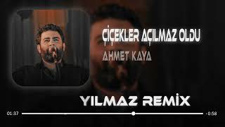 Ahmet Kaya   Çiçekler Açılmaz Oldu  Uğur Yılmaz Remix    Kara Yazı